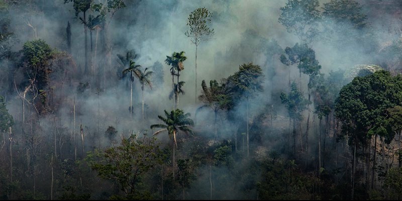 A latin-amerikai püspöki karok felhívása az Amazonas védelmére