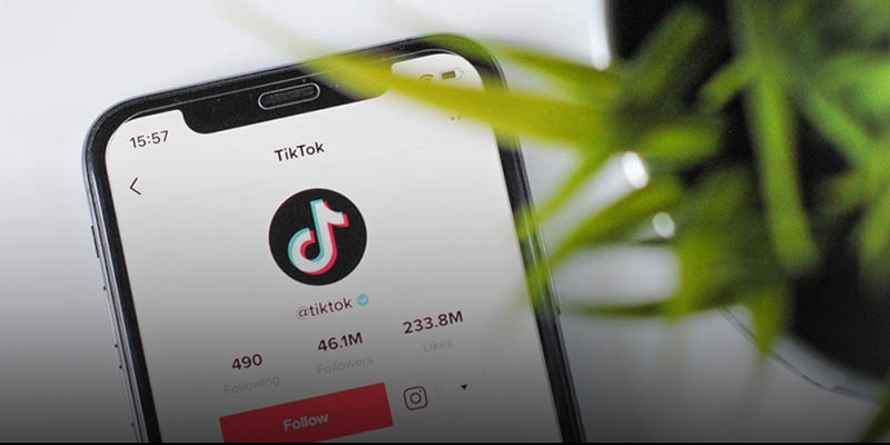 TikTok: igen vagy nem?