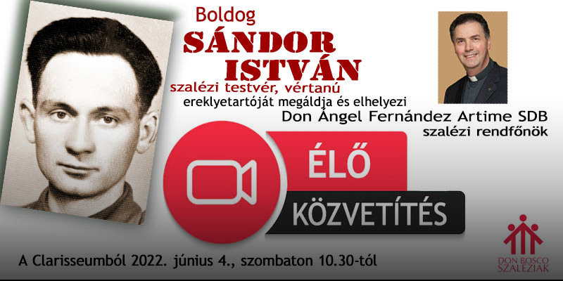 Boldog Sándor István ereklyéinek elhelyezése - élő közvetítés