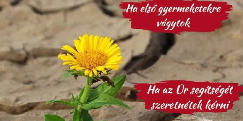 Lelkigyakorlat gyermekre vágyó házaspároknak