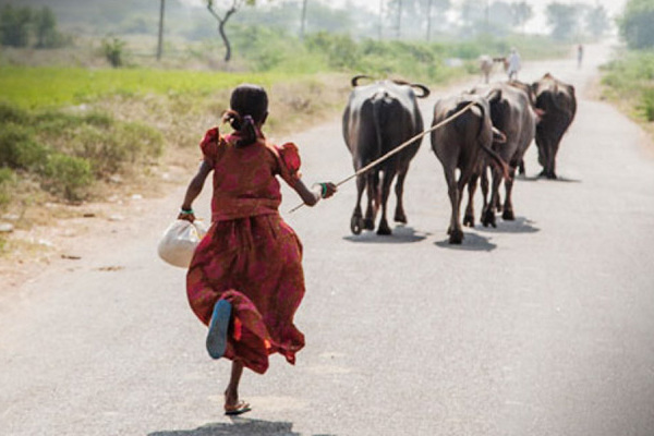 India – Küzdelem a korai házasságok ellen