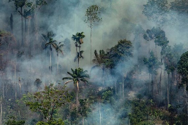 A latin-amerikai püspöki karok felhívása az Amazonas védelmére