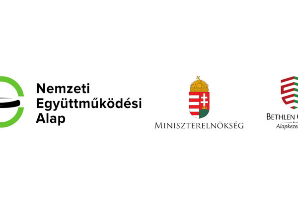 Nemzeti Együttműködési Alap Támogatási Program (2020) 