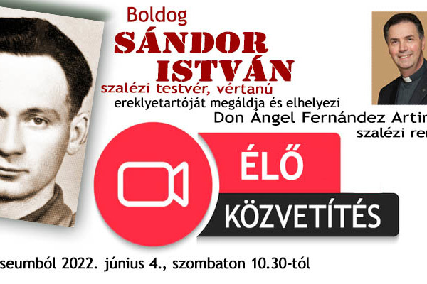 Boldog Sándor István ereklyéinek elhelyezése - élő közvetítés