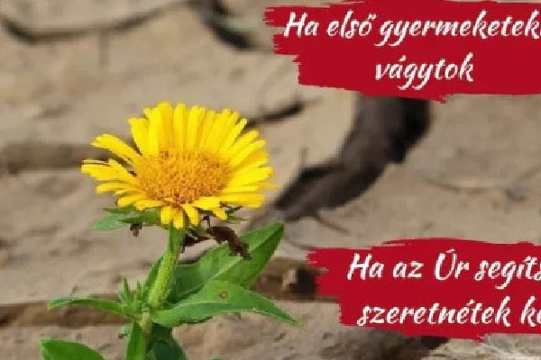 Lelkigyakorlat gyermekre vágyó házaspároknak